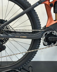 Orbea Wild M-LTD Custom Large 2025