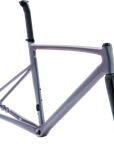 Specialized Allez Sprint Frameset - Aluminum/Color Run/Satin Logos