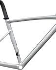 Specialized Allez Sprint Frameset - D'Aluisio Smartweld Alloy - Satin Fog Tint Brush / Black Pearl