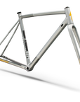 Specialized Crux DSW Frameset - D'Aluisio Smartweld Alloy - Shadow Silver/California Sunshine