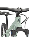 Specialized Rockhopper Comp 29 - Gloss Ca White Sage / Satin Forest Green
