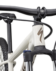 Specialized Rockhopper Comp 29 - Gloss Birch / Taupe