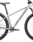 Specialized Rockhopper Expert 29 - Satin Silver Dust / Black Holographic