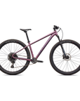 Specialized Rockhopper Expert - Satin Quartz Metallic / Mauve Metallic