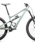 Specialized Status 2 170 - Satin White Sage / Rusted Red