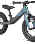 Specialized Hotwalk Carbon - Satin Carbon / Chameleon Oil Tint 50% Over Dream Silver / Black