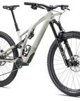 Specialized Stumpjumper EVO Expert - SRAM GX Eagle AXS, FOX Performance Elite - Gloss Birch / Taupe