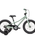 Specialized Riprock Coaster 16 - Gloss White Sage / Dune White