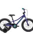 Specialized Riprock Coaster 16 - Gloss Purple Haze / Lagoon Blue
