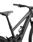 Specialized Turbo Kenevo SL 2 Expert - Satin Carbon / Birch