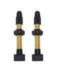 BBB Cycling BTI-159.60 Tubeless Valves Removable CO 2 Pieces 60MM