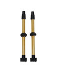 BBB Cycling BTI-159.60 Tubeless Valves Removable CO 2 Pieces 60MM