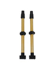 BBB Cycling BTI-159 Tubeless Valves Removable CO 2 Pieces 80MM
