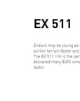 DT Swiss Rim EX511 29 28H 30 Wide
