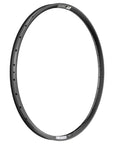 DT Swiss Rim F572 29 28H 30 Wide