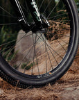 DT Swiss D1900 Classic 26 30 20/110 Dirt Jump (Non-Disc) Wheel