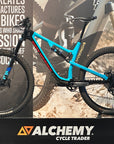 Rocky Mountain Instinct Large 2019