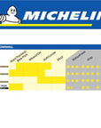Michelin DH Mud 29"x2.4" Wire Tyre