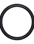 Schwalbe Delta Cruiser Plus 700 x 38C Puncture Guard Reflective E-25
