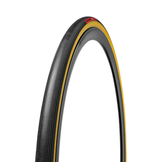 Specialized Turbo Cotton - Black/Transparent Sidewall