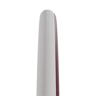 Schwalbe Wheelchair Dunk King 26 x 1.00" (25-590) Evolution Line White/Bordeaux Colour
