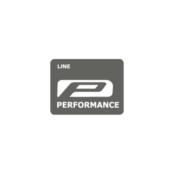 Schwalbe One 700 x 30C RaceGuard Addix Compound Performance line Folding Bronze Skin TUBE TYPE