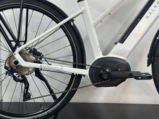 Kalkhoff  Endeavour Medium 2019