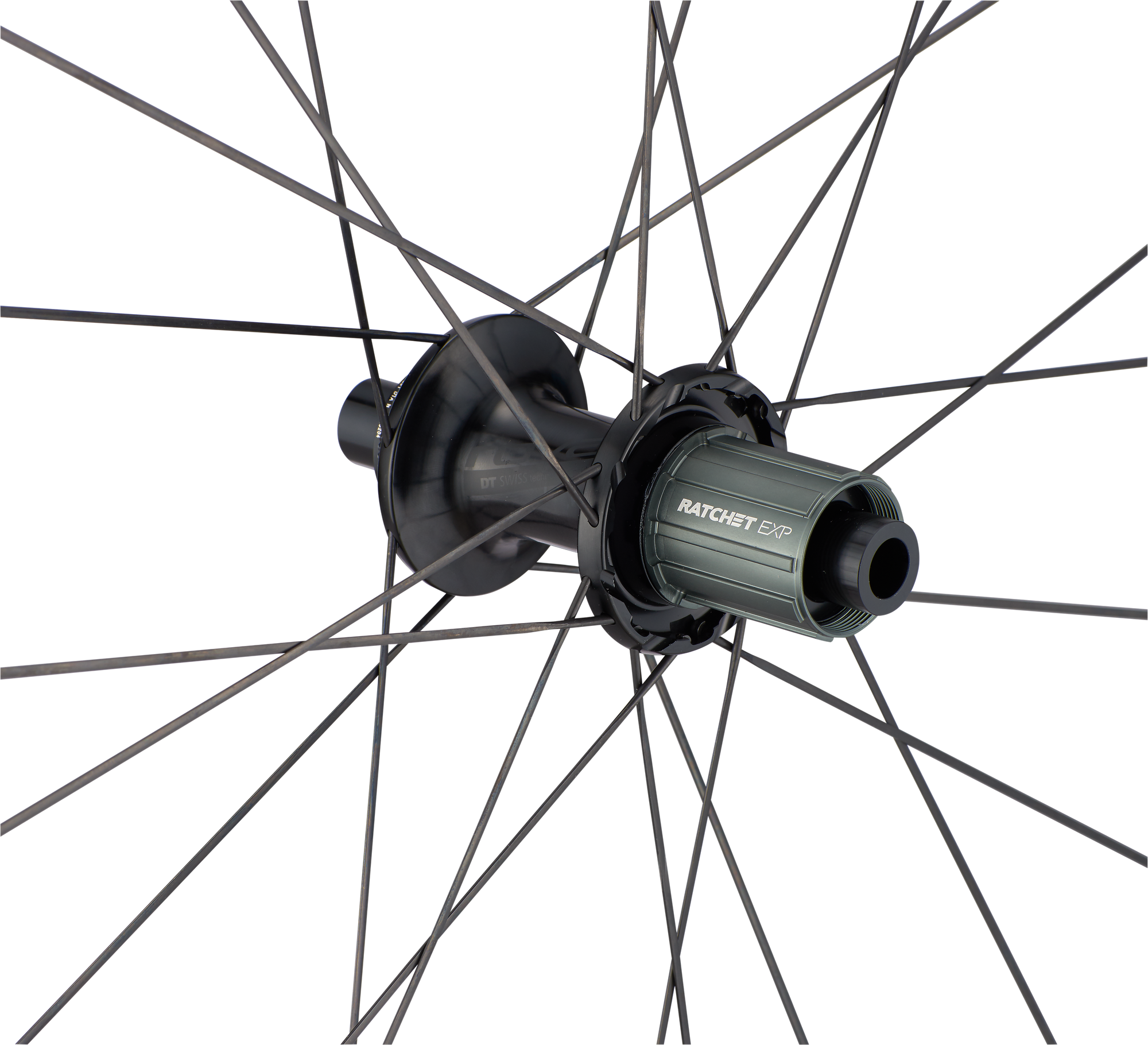Specialized Roval Terra CLX HG – Rear - Satin Carbon/Gloss Black