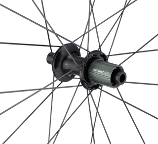Specialized Roval Terra CLX HG – Rear - Satin Carbon/Gloss Black