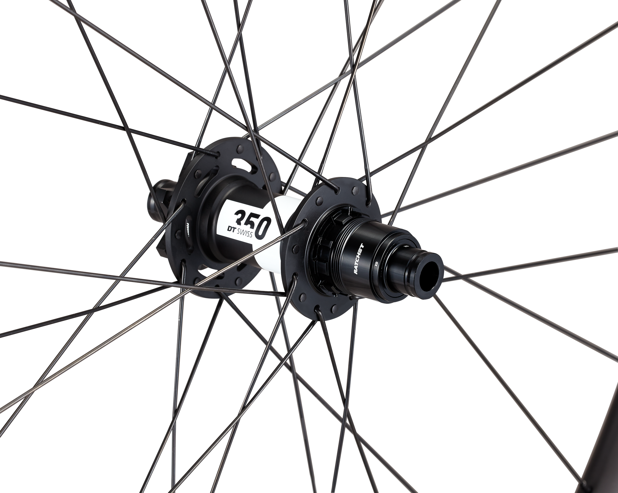Specialized Roval Traverse Alloy 350 6B - Black/Charcoal