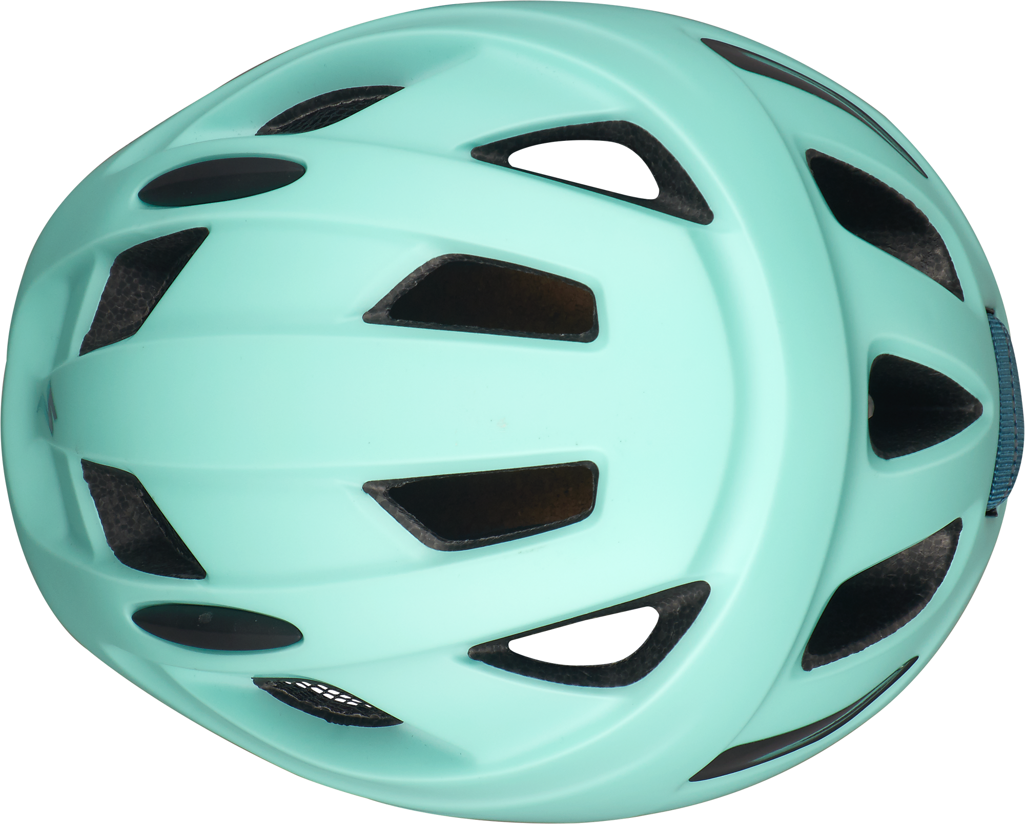 Specialized Mio Standard Buckle - Mint