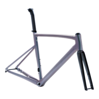 Specialized Allez Sprint Frameset - Aluminum/Color Run/Satin Logos