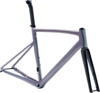 Specialized Allez Sprint Frameset - Aluminum/Color Run/Satin Logos
