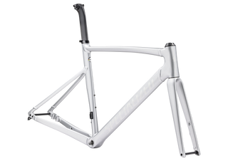 Specialized Allez Sprint Frameset - D'Aluisio Smartweld Alloy - Satin Silver Dust/Gloss Transparent Decals