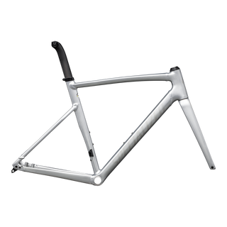 Specialized Allez Sprint Frameset - D'Aluisio Smartweld Alloy - Satin Fog Tint Brush / Black Pearl