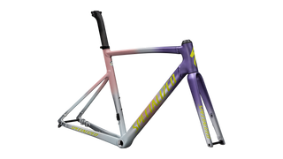 Specialized Allez Sprint Frameset - D'Aluisio Smartweld Alloy - Satin Dusty Pink Multicolor Radial Fade / Ion Metallic