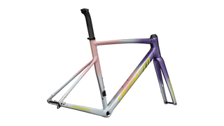 Specialized Allez Sprint Frameset - D'Aluisio Smartweld Alloy - Satin Dusty Pink Multicolor Radial Fade / Ion Metallic