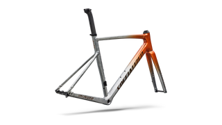 Specialized Allez Sprint Frameset - D'Aluisio Smartweld Alloy - Copper Tint/Bronze Foil