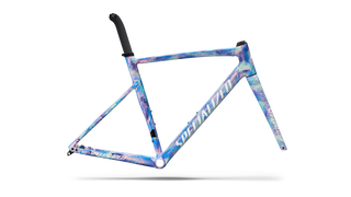 Specialized Allez Sprint Frameset - D'Aluisio Smartweld Alloy - Multi-Color Dry Brush/White