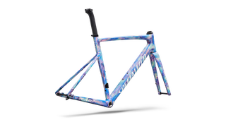 Specialized Allez Sprint Frameset - D'Aluisio Smartweld Alloy - Multi-Color Dry Brush/White