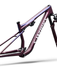 2027 Specialized S-Works Epic 9 Frameset