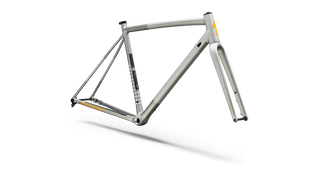 Specialized Crux DSW Frameset - D'Aluisio Smartweld Alloy - Shadow Silver/California Sunshine