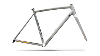 Specialized Crux DSW Frameset - D'Aluisio Smartweld Alloy - Shadow Silver/California Sunshine