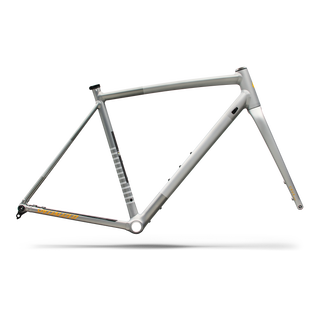 Specialized Crux DSW Frameset - D'Aluisio Smartweld Alloy - Shadow Silver/California Sunshine