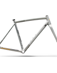 Specialized Crux DSW Frameset - D'Aluisio Smartweld Alloy - Shadow Silver/California Sunshine