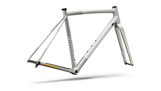 Specialized Crux DSW Frameset - D'Aluisio Smartweld Alloy - Shadow Silver/California Sunshine