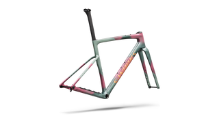 Specialized S-Works Crux 5 Frameset - FACT 12r Carbon - Agave Grey/Photon Tint Over Silver Dust