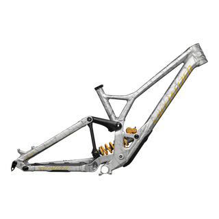 Specialized Demo Race Frameset - Gloss Silver Dust / Metallic Sulphur