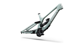 Specialized S-Works Demo 11 Frameset - Gloss Agave Grey / Metallic White Silver