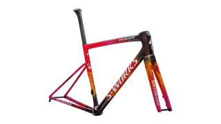 Specialized S-Works Tarmac SL8 Team Frameset - SD Worx - Protime  - Team, Sd Worx